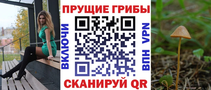 Галлюциногенные грибы прущие грибы Купить закладки Почеп